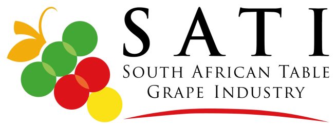 SATI LOGO RGB